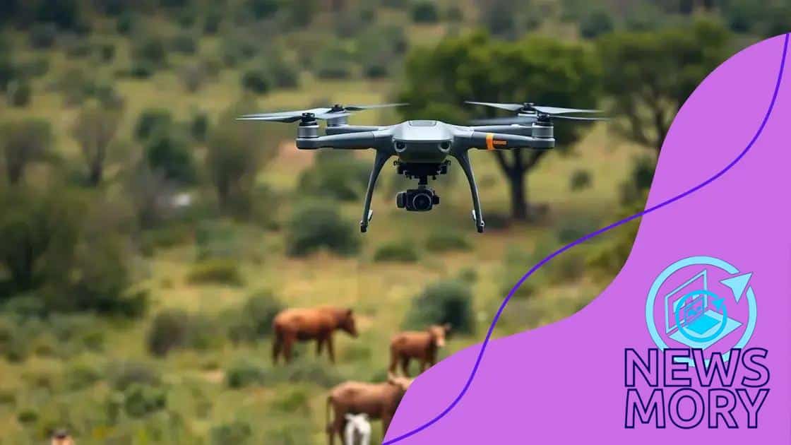 How drones assist in wildlife protection